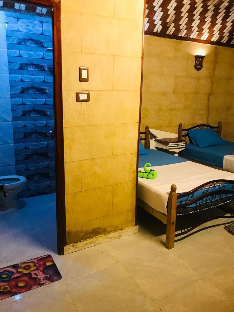 Labib Guest House Ασουάν Εξωτερικό φωτογραφία